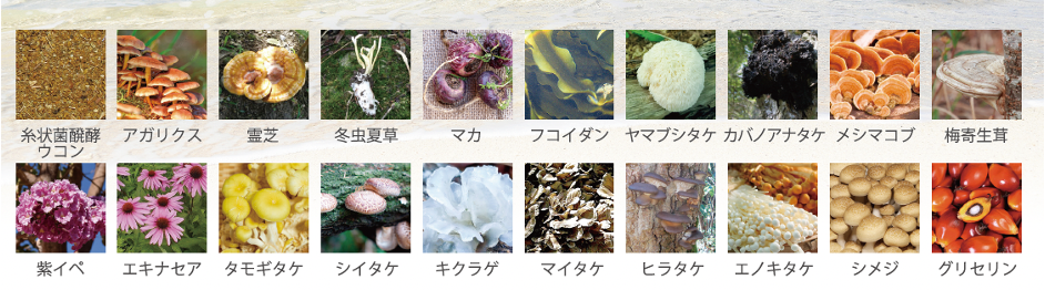 ⽷状菌醗酵ウコンの驚異のパワー | WAKAYA perfection